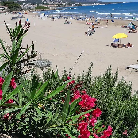 Mit Privat-pool Apartment Alcoceber