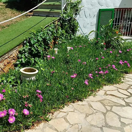 Mit Privat-pool 아파트 Alcossebre